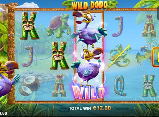 Призова комбінація на лінії в ігровому автоматі Wild Dodo